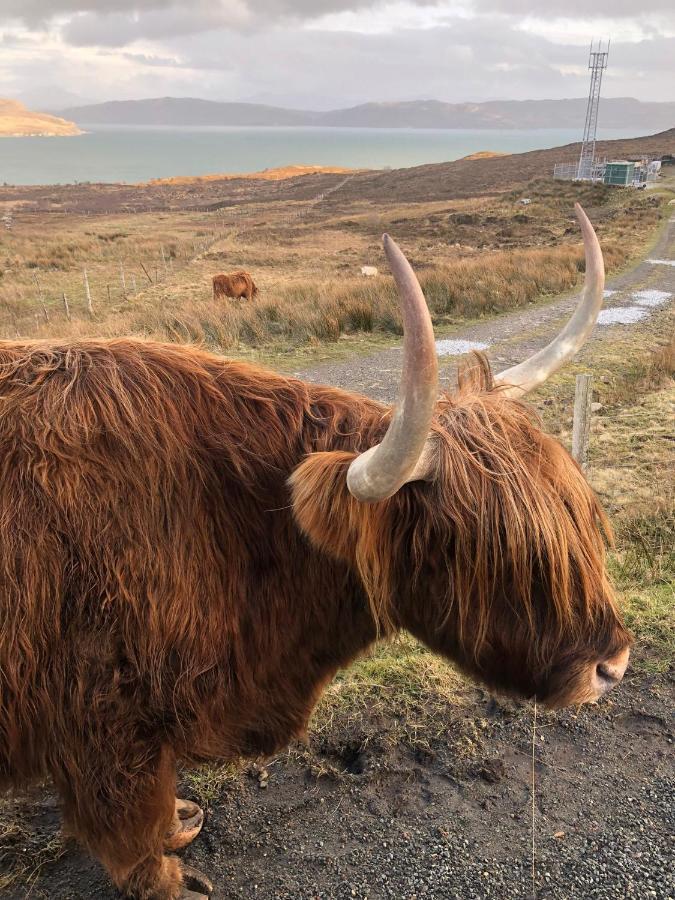 Tiny Home In Isle Of Skye-Pet Friendly Elgol Dış mekan fotoğraf